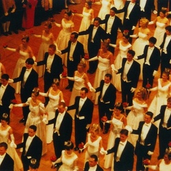 Wiener Opernball 2005 - Einzug der Debütanten