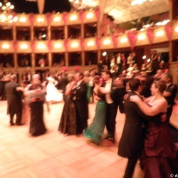Wiener Opernball 2010 - sonstige Bilder des Abends