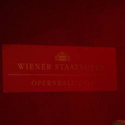 Wiener Opernball 2011 - sonstige Bilder des Abends