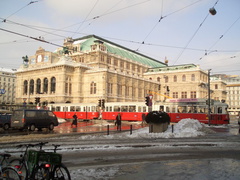 CIMG0536.JPG