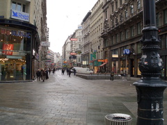 CIMG0556.JPG