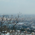 DSCF0177