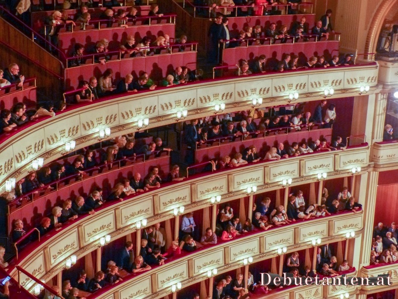 P1350556.jpg
